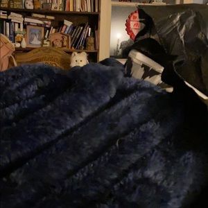 Meet your Posher, Joanie